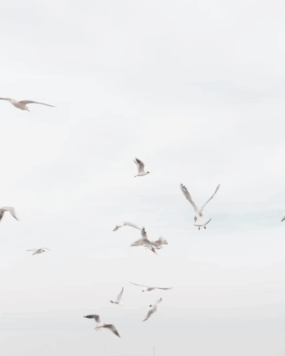 「忙しく笑うあなたは、こんなに眩しい」